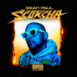 Sean Paul Announces New Album Scorcha