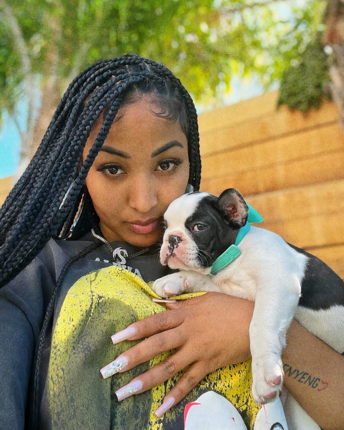Shenseea Shows Off Her New French Bulldog